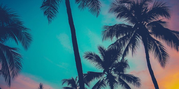 1650x1100 Create a tropical paradise with this colourful beach snapshot