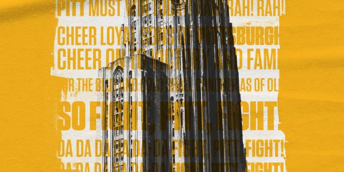 1080x1920 Wallpaper: Mobile and Desktop - Pitt Panthers #H2P