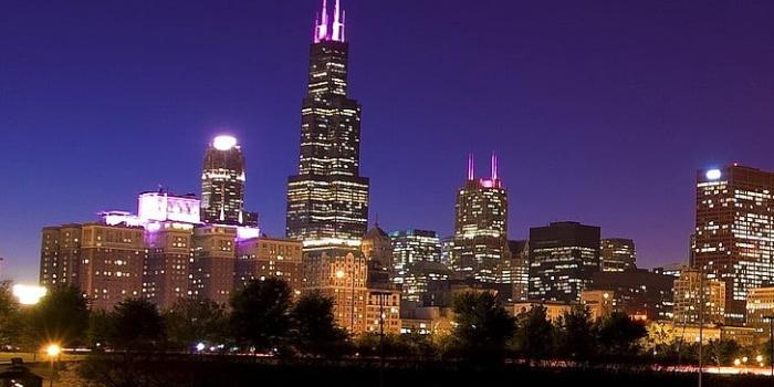 728x1348 HD wallpaper: Chicago City Town Evening, city landscape