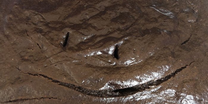 2048x1536 Happy little chocolate cake - Album on Imgur