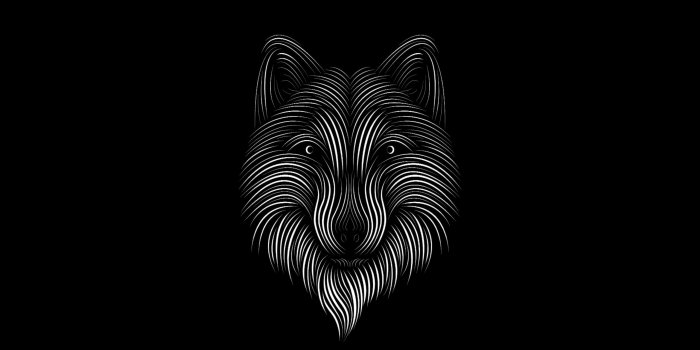 2560x1440 Download wallpaper 2560x1440 fox, line, art, bw widescreen 16:9 hd