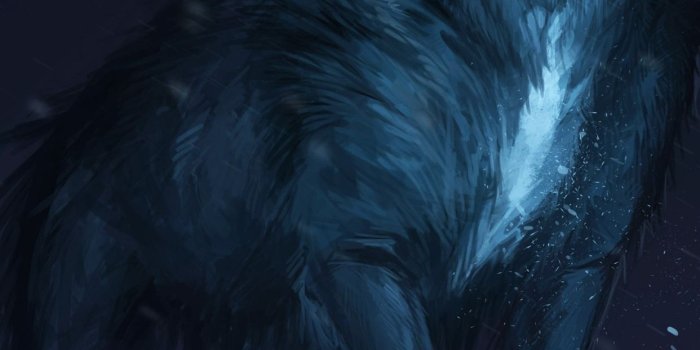 1242x2688 Iphone Wallpaper Black-195 - Iphone wallpaper