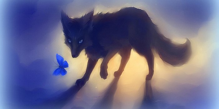 1920x1200 Download 1920x1200 black fox with butterfly wallpaper