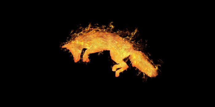 1280x804 Black Fox Wallpaper posted by Samantha Cunningham