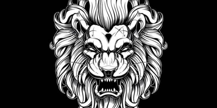 720x1280 Black Fox wallpaper by 1Kerim - ef - Free on ZEDGE™