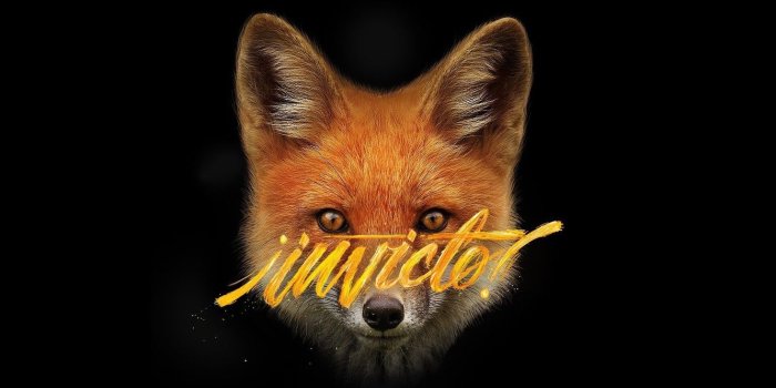 1332x850 Wallpaper Fox, Art, Black, Wallpaper, Minimalism, Wild Lettering