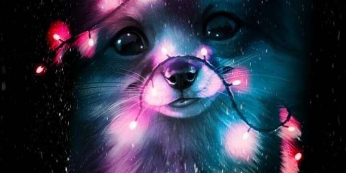 720x1280 Download Cute Fox Wallpaper by BradleyJohnsonTV - d5 - Free on