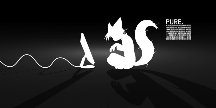 1600x1200 Download Wallpaper black fox, 1600x1200, Pure