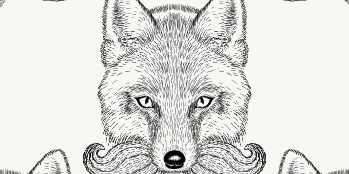 2000x2000 White and Black Fox Animal Removable Wallpaper 9729| Walls By Me