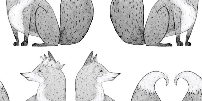 2048x2048 Mr Fox Wallpaper | Anewall Mural Wallpapers