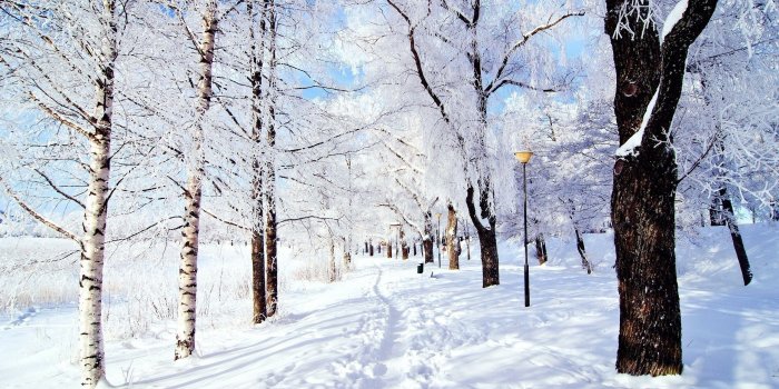 2560x1440 Winter Snow Scenes Wallpapers