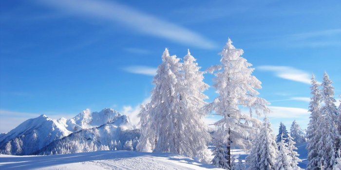 1600x1200 Snowy Scenes Wallpapers