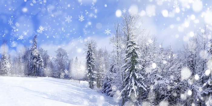 2560x1600 Snow Scenery Anime Wallpapers - Top Free Snow Scenery Anime