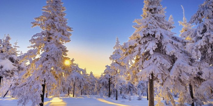 1920x1080 40 Winter Snow Scenes Wallpapers - WallpaperBoat