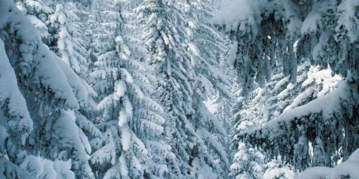 1024x768 48+] Snow Scenes Free Wallpaper on WallpaperSafari