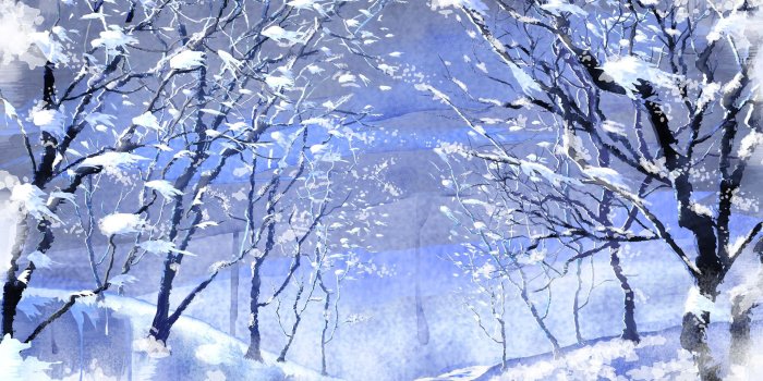 1920x1200 62+ Snow Scenes Wallpapers on WallpaperPlay