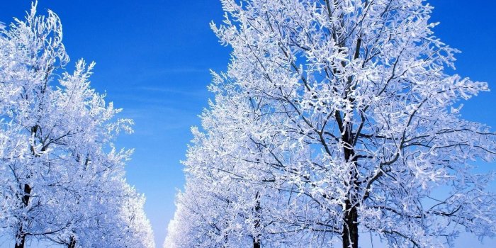 1600x1200 Snow Scenery Wallpapers New Snowy Scene Wallpapers Wallpaper Cave