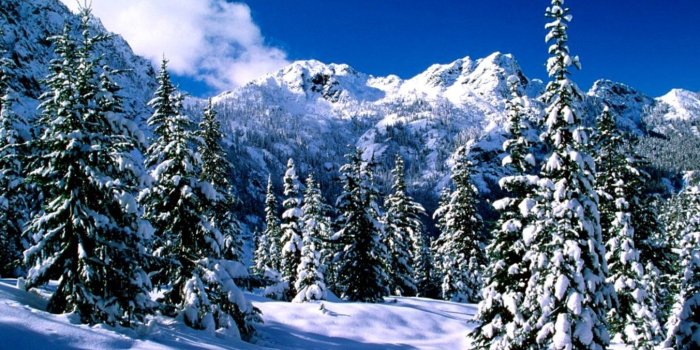 1353x810 Winter Snow Scenes Desktop Wallpaper