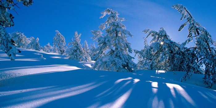 1440x900 Winter Snow Scenes | Winter wonderland : Dreamy Snow Scene