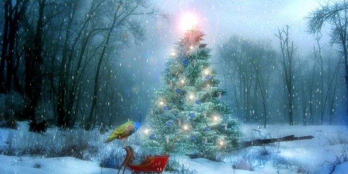 1920x1080 Snow Scenery Wallpapers Beautiful Christmas Snow Scene Wallpaper