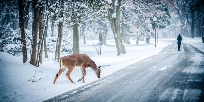 2400x1350 62+ Snow Scenes Wallpapers on WallpaperPlay