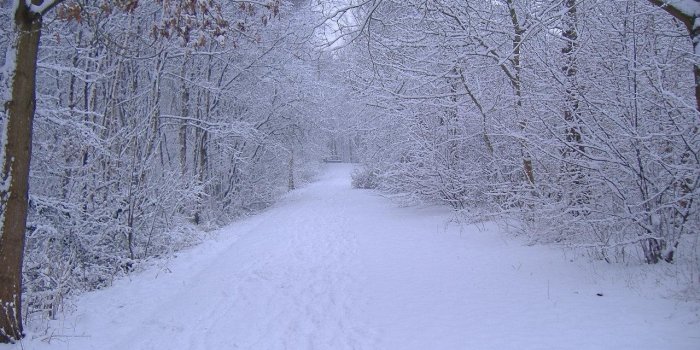 1280x960 Desktop Wallpaper Snowy Night Scenes 1280x960, - Winter Scenes