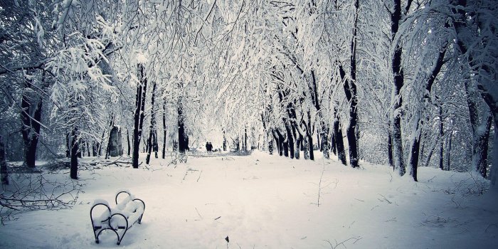 2560x1920 Snowy Winter Scene Wallpaper , Free Stock Wallpapers on ecopetit.cat