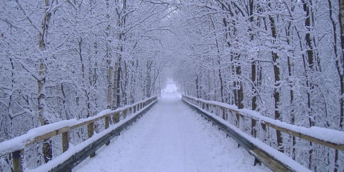 1280x960 47+] Free Winter Snow Scenes Wallpaper on WallpaperSafari