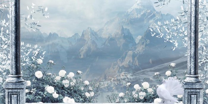 1000x1307 2020 Winter Snow Scenic Wallpaper Outdoor Background White Pigeon