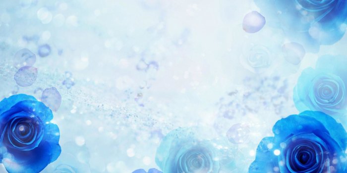 1920x1200 Blue Flowers Background (49+ images)