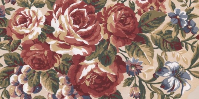 1000x1000 Retro Art Red Blue Flowers Grapes Vintage Beige Prepasted