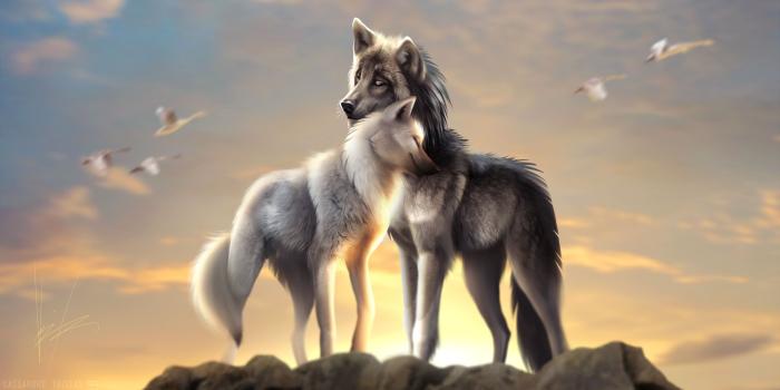 3291x1822 Wolves Love, HD Artist, 4k Wallpapers, Images, Backgrounds, Photos
