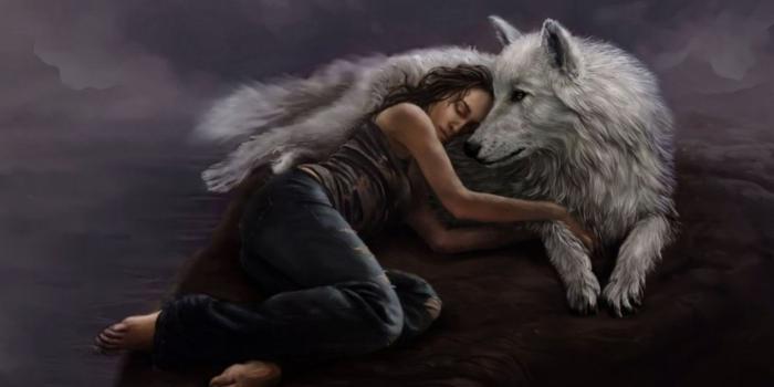 1440x900 Love Wolf Wallpapers - Top Free Love Wolf Backgrounds