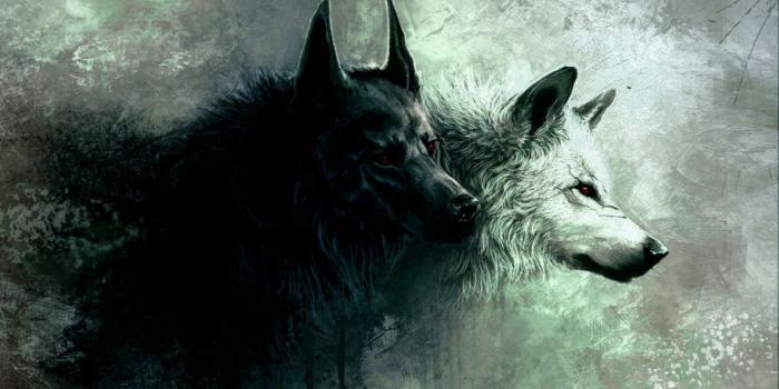 1256x698 Love Wolf Couple Wallpaper