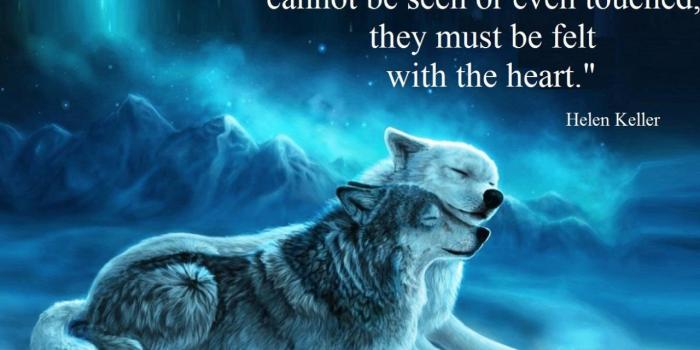 1280x1024 Free download Beautiful Wolves wallpaper ForWallpapercom
