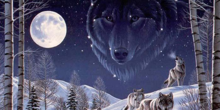 1600x1200 Free download Love Pictures Vision Of The Wolf Wallpapers