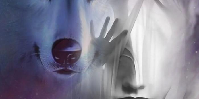 1200x1839 Lycan Anubis Armando (With images) | Wolves and women, Wolf love