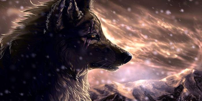 1879x1056 The Coolest Wolf Wallpapers - Wolf-Wallpapers.Pro