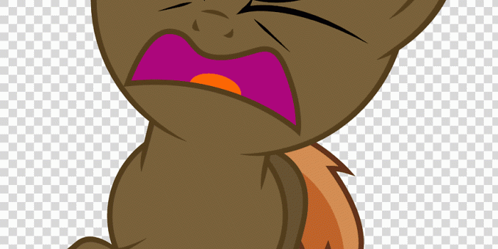 880x1257 Sweetie Belle My Little Pony Rule 34, My little pony, mammal, cat