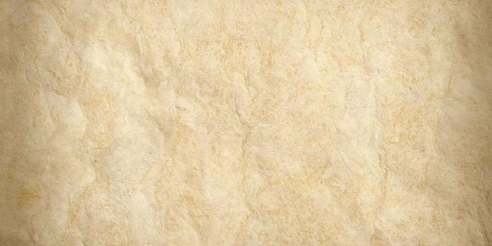 1024x850 Best 61+ Tan Wallpaper on HipWallpaper | Attack On Titan Wallpaper