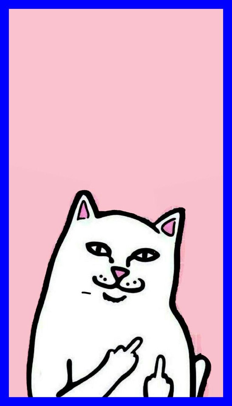 764x1338 Cute Cat Cartoon Wallpaper posted by Michelle Walker