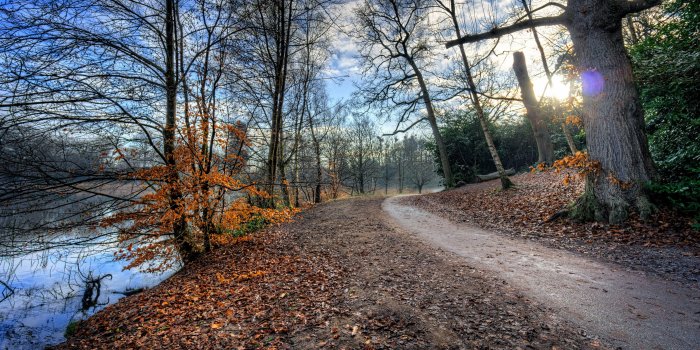 7680x4320 8k Ultra Hd Resolution Desktop Wallpapers Hd Car Wallpapers