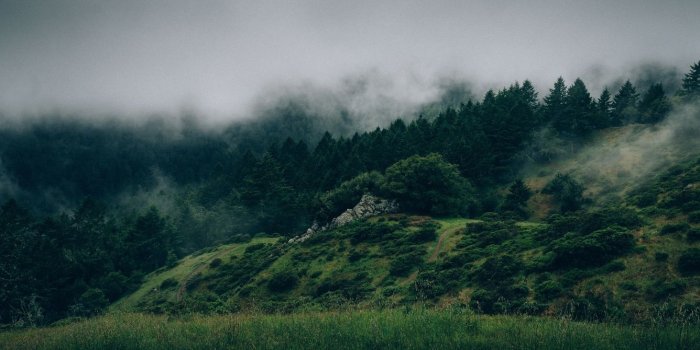 1336x750 National Park,Atmosphere,Meadow Background - Royalty Free Photo