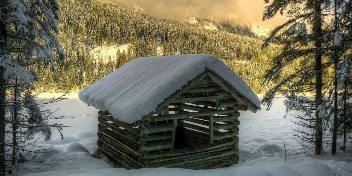 1920x1200 wooden wallpapers, photos and desktop backgrounds up to 8K | 4