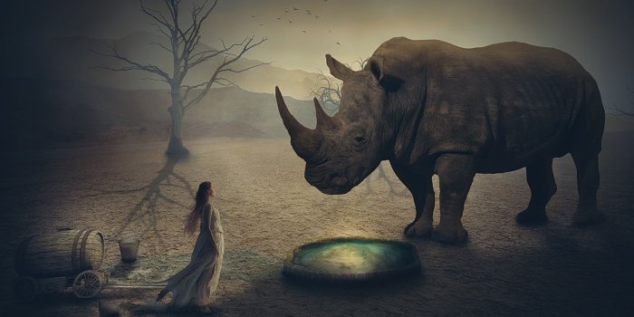 1920x1080 Giant Rhino Ultra HD Desktop Background Wallpaper for 4K UHD TV