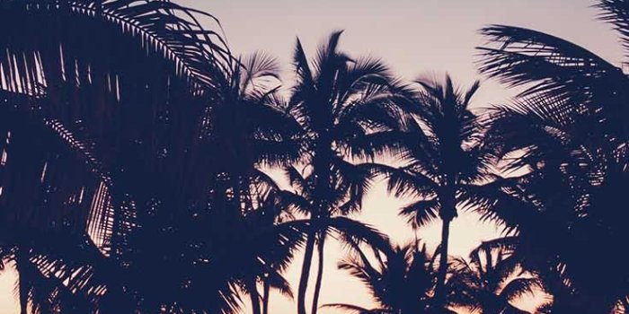 736x1308 Reminiscing Summer With 26 Sunny iPhone Xs Wallpapers | Preppy