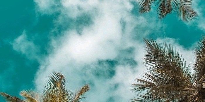 700x1244 63+] Summer Picture Wallpaper on WallpaperSafari