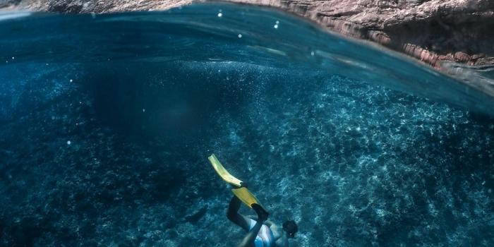 1000x1333 iPad Wallpapers | 92 best free wallpaper, blue, forest and travel