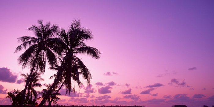 1600x1227 awesome summer wallpapers