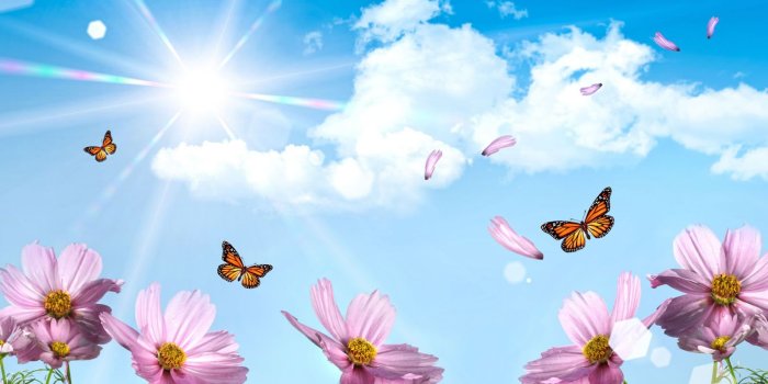 1600x1200 wallpaper hd: Summer Wallpapers